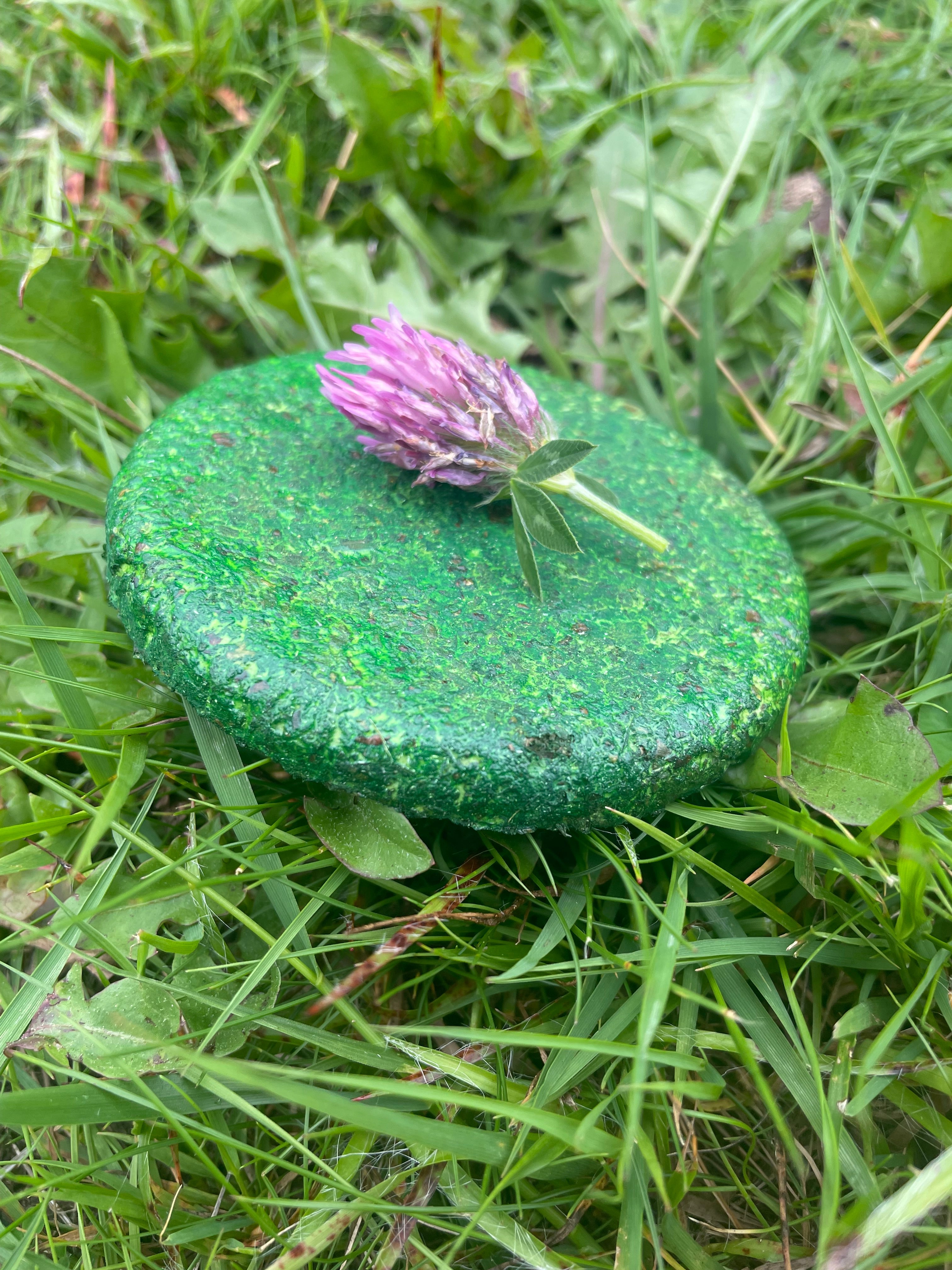 The Making of the Sawdust Products