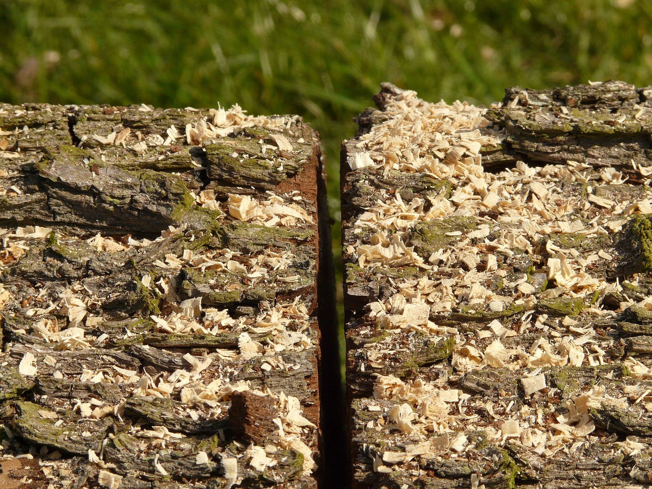 The Science of Turning Waste Into Performance Materials