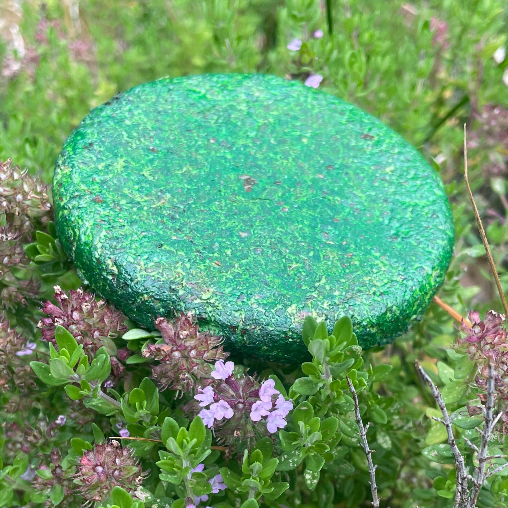 Green coaster on natural background