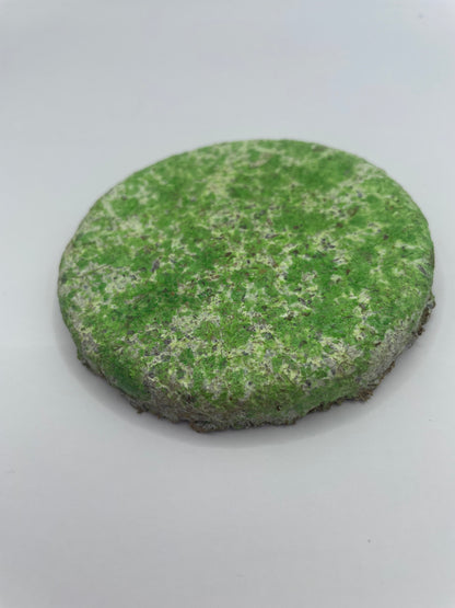 Eco Coaster Speckled Green