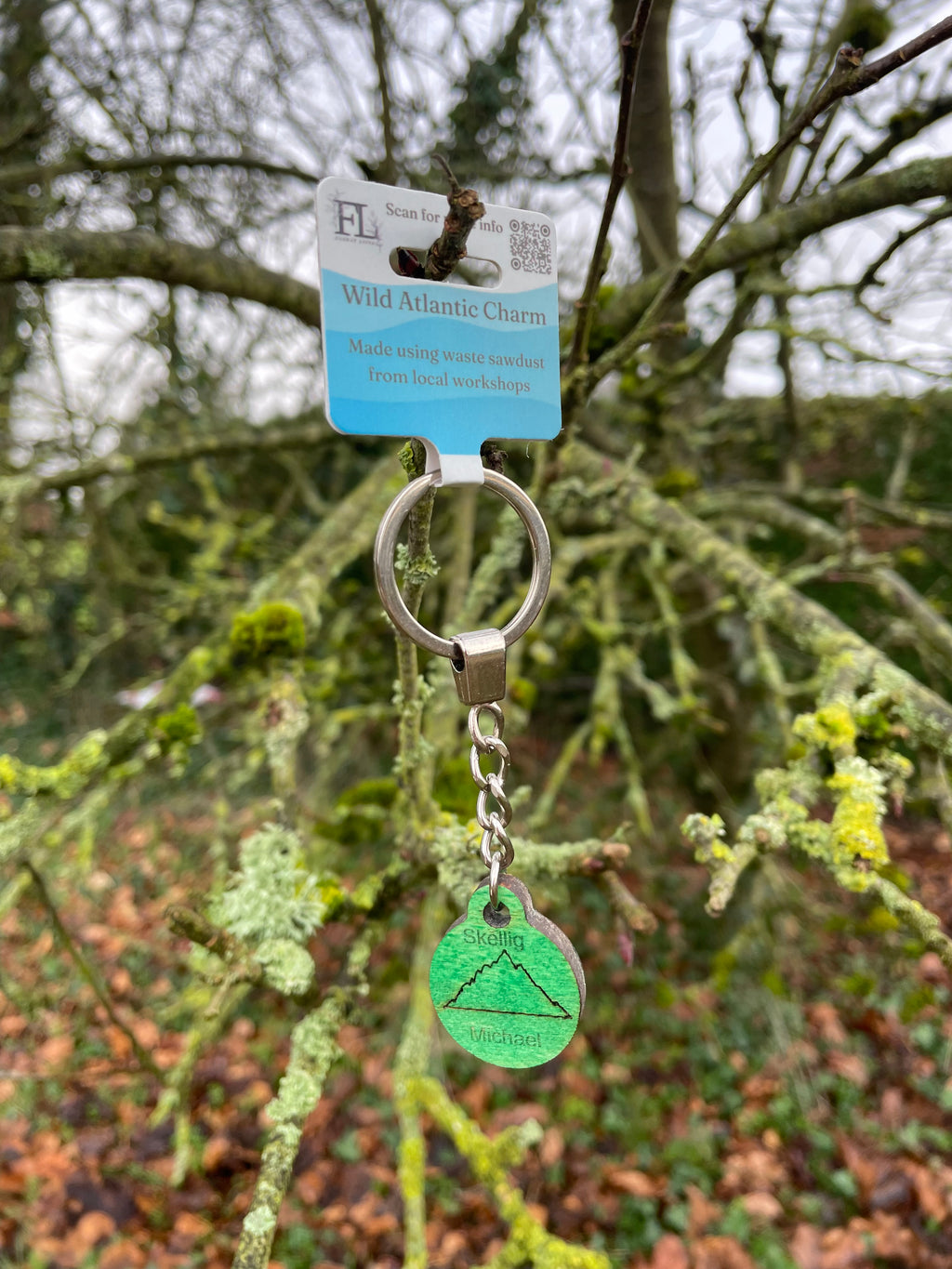 Wild Atlantic Charm - Skellig Michael Green