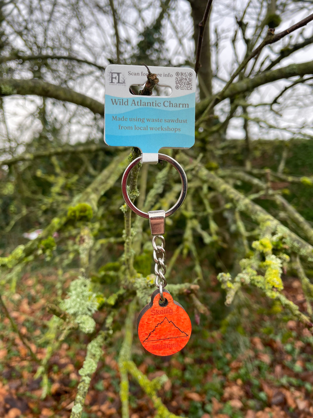 Wild Atlantic Charm - Skellig Michael Orange