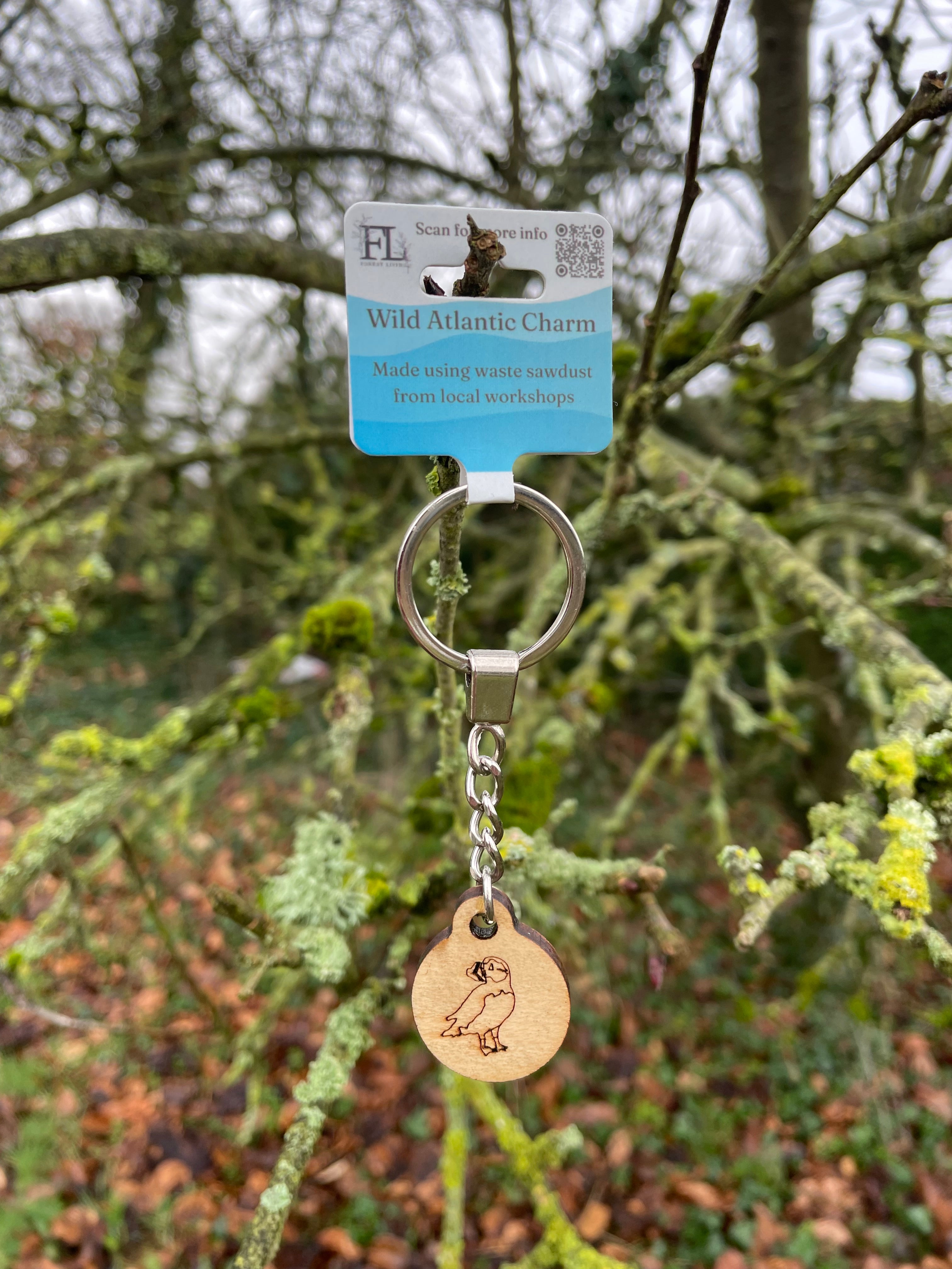 Wild Atlantic Charm - Puffin